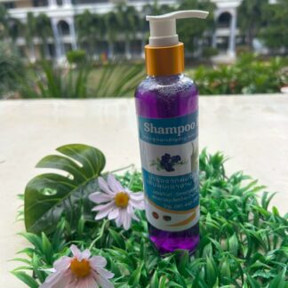 แชมพูดอกอัญชันผสมว่านหางจระเข้